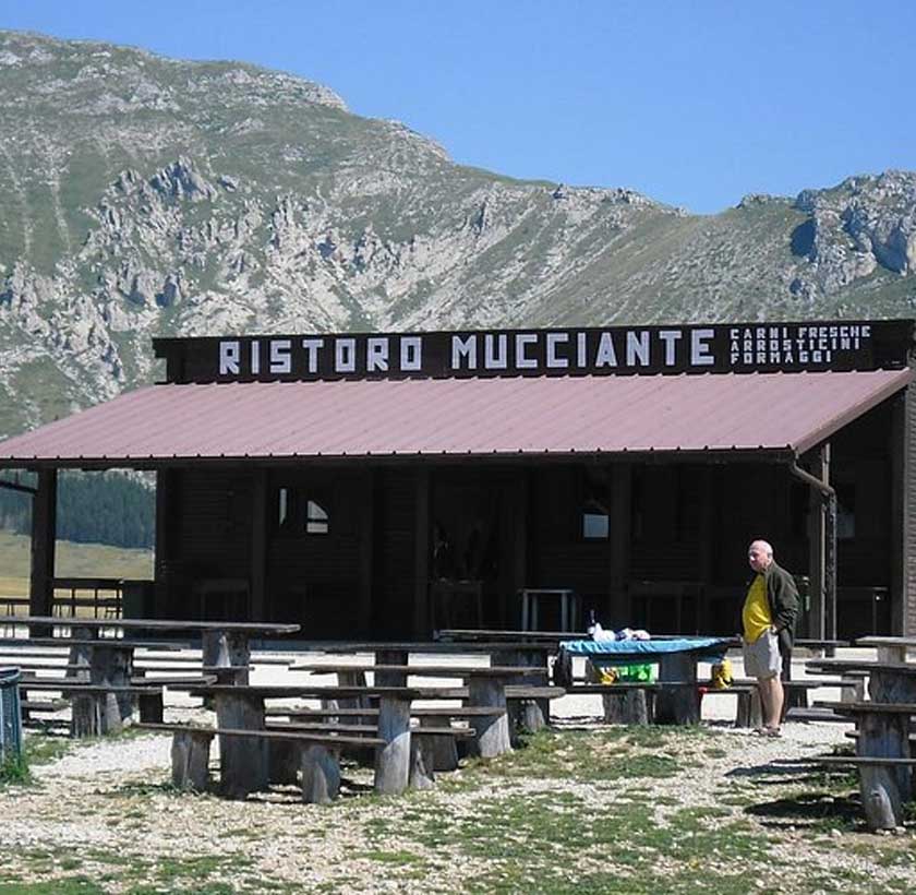 Illustrazione editoriale ispirata all'ambiente tipico di Ristoro Mucciante