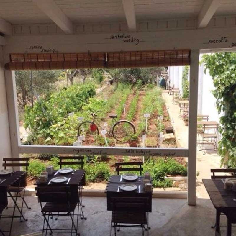 Immagine illustrativa provvisoria, non fotografia di Trattoria Terra Madre